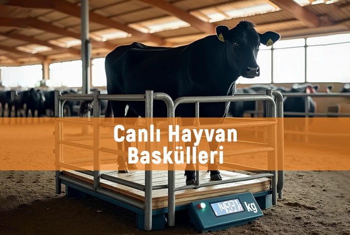 https://www.baskuldunyasi.com/urunler/canli-hayvan-baskulleri