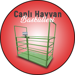 CANLI HAYVAN BASKÜLLERİ