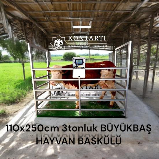 BÜYÜKBAŞ HAYVAN KANTARI 110*250 CM 3 TONLUK